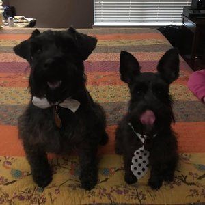 Meet your Posher, Chris